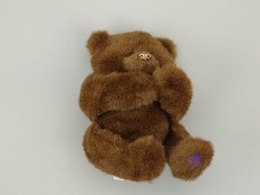 Mascots: Mascot Teddy bear, condition - Good