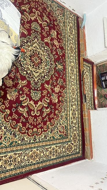 Зал үчүн гарнитуралар: Ковры и мебель в классическом стиле 1) Ковер бордовый с восточным — 1