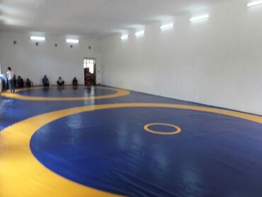 Другие тренажеры: Профессиональные спортивные маты для единоборств Назначение: - борьба — 39