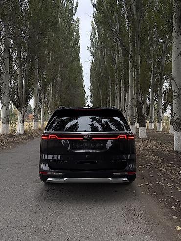 Kia: Kia Carnival: 2020 г., 2.2 л, Автомат, Дизель — 6