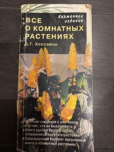 ретро лампы: В продаже новые глиняные вазоны без глазур, б/у горшки в отличном — 6