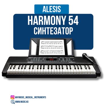 Стойки для музыкальных инструментов: Синтезатор Alesis Harmony 54 Alesis Harmony 54 — это цифровой