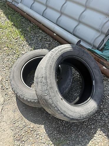 зимние шины 22560 r16: Один хорош второй плох Зимние шины Bridgestone Blizzak Revo GZ — — 1