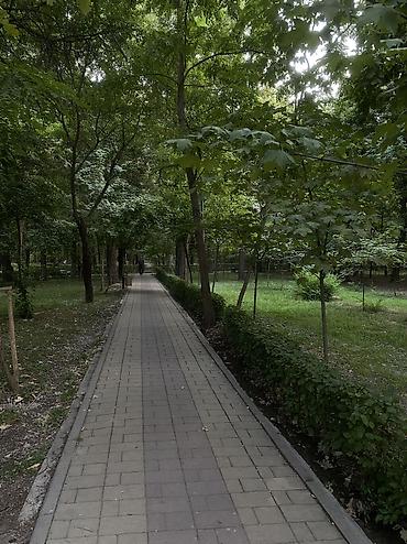 кватиру: 2 комнаты, 62 м², Элитка, 3 этаж, ПСО (под самоотделку) — 10
