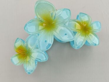Hair clip, Female, condition - Perfect