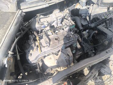 Nissan: Nissan Primera: 2004 г., Седан — 2