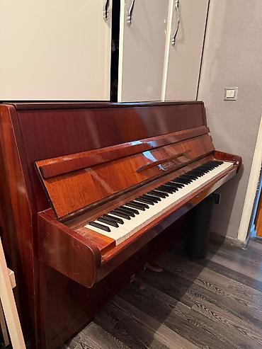 Спорт и хобби: Upright pianino – Юность ) modeli - Korpus: parlaq tünd qəhvəyi taxta — 4