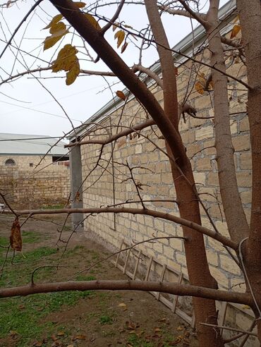 Həyət evləri və villaların satışı: 4 otaqlı, 2 kv. m, Orta təmir — 6