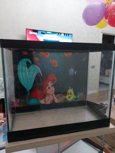 Akvariumlar: Məhsul: Dekorativ şüşə akvariumlar (uşaq tematikası) Təsvir: - — 10