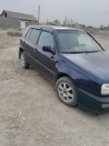 машины за 100000: Volkswagen Golf: 1994 г., 1.6 л, Механика, Бензин, Хэтчбэк