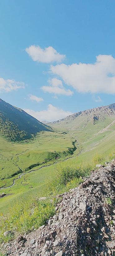 принтеры 3 в 1: Кымыз, саамал кымыз, сары май оптом и в розницу — 1