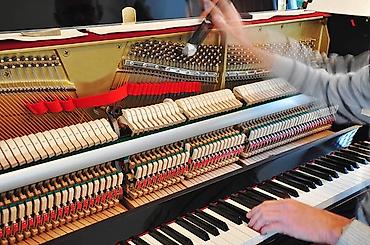 Услуги: Pianino köklənməsi və təmiri. Ремонт и настройка пианино. Bütün — 1
