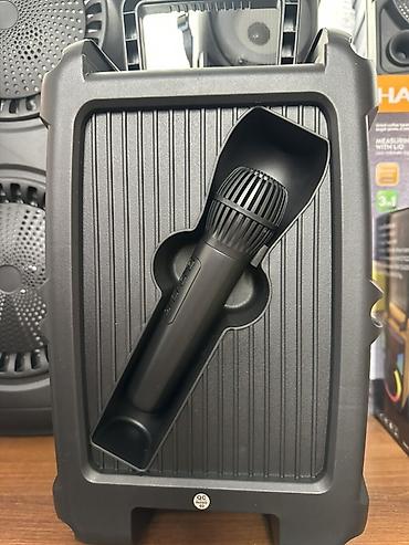 dji mini mic: Портативная акустическая система ZQS8175W (8") - Динамик: 8" - — 4