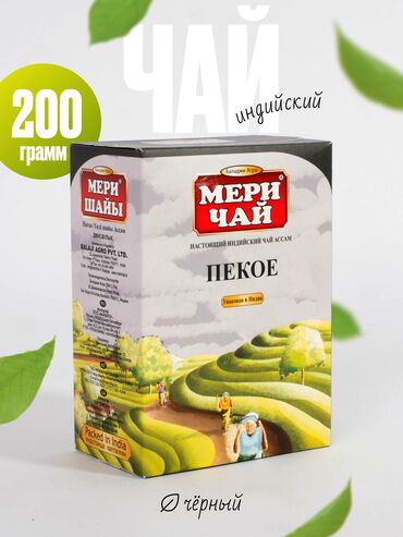 Графические дизайнеры: Графический дизайнер — 18