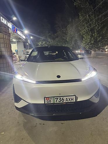 хово 2026: Dongfeng Aeolus Haohan: 2025 г., Автомат, Электромобиль, Кроссовер — 1