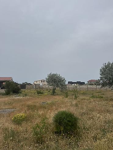 Torpaq sahələrinin satışı: 6 sot, Tikinti, Kupça (Çıxarış) — 8