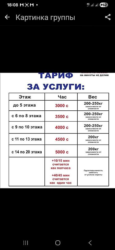 put up: Стрела 42 м, 300 т — 5