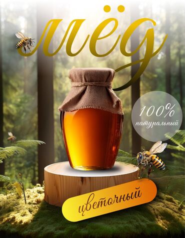 Графические дизайнеры: Графический дизайнер — 33