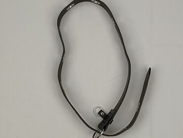 czapka chada z daszkiem: Pasek, Unisex, stan - Bardzo dobry w lalafo.pl czapka chada z daszkiem: Pasek, Unisex, stan - Bardzo dobry