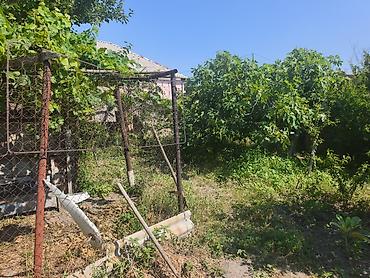 rufat aynur emlak: Sumqayıt, 4 kv. m, 1 otaqlı, Hovuzsuz — 4