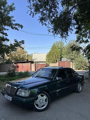 bud e9: Mercedes-Benz S-Class: 1995 г., Седан — 7