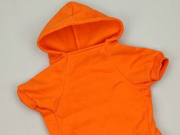 Bluza z kapturem dla psa – 2XL, pomarańczowa - Ubranko dla psa z