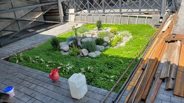 Дизайн, проектирование: Сеем газоны Установка автополива Установка капельного полива Услуги — 15