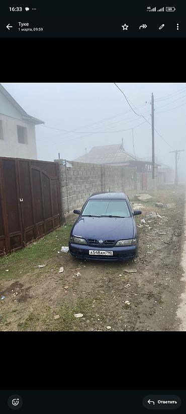 sprinter bazar: Nissan Primera: 1997 г., Механика, Бензин, Седан — 1