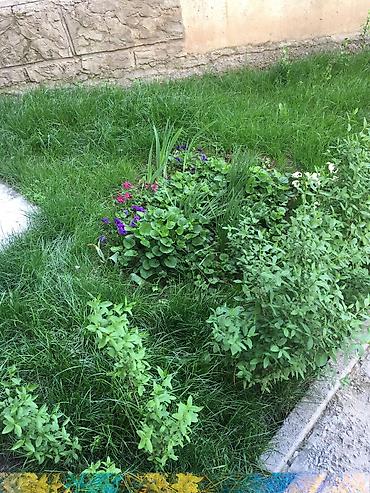 Продажа квартир: 4 комнаты, 88 м², 106 серия улучшенная, 1 этаж, Дизайнерский ремонт — 13