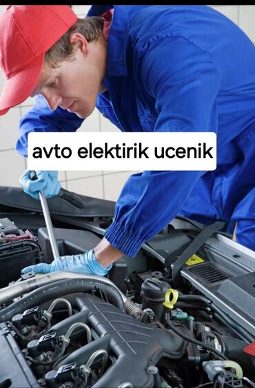 Avtobiznes, servis xidmətləri: Avto elektirik ucenik işi axtarıram çox azda olsa biliyim bacarığım