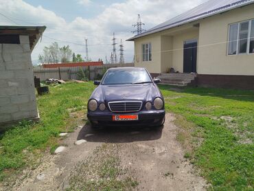 ман мерседес: Mercedes-Benz E-Class: 2001 г., 2.2 л, Типтроник, Дизель, Седан