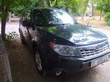 Subaru: Subaru Forester: 2009 г., 2.5 л, Автомат, Бензин, Кроссовер — 6