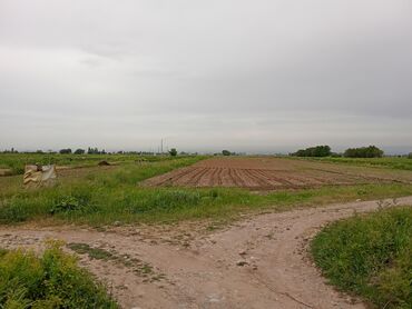 Продажа участков: 480 соток, Для бизнеса