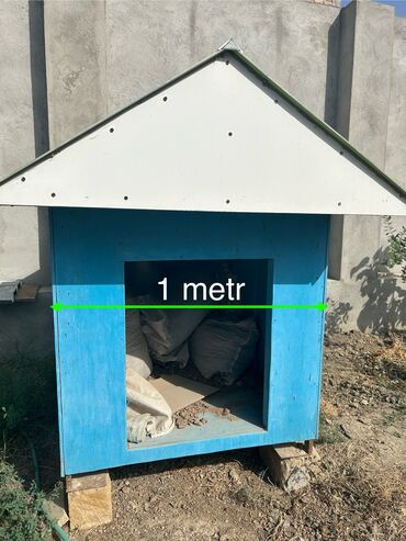 ev heyvanları satışı: İt üçün ev 🐶🏠 Hec istifade olunmayib, boyuk it cinsleri ucun