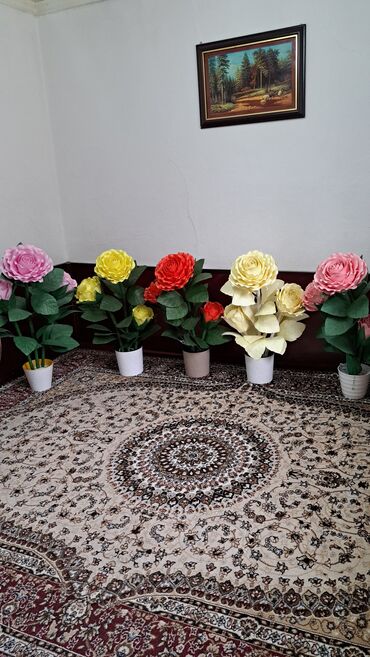 Комнатные розы: Комнатные розы — 4