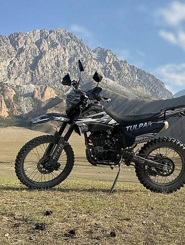 Эндуро-мотоцикл TULPAR 300 кубовый (dual-sport) - Тип