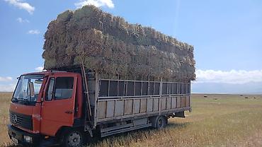 70 сом: Продажа тюков сена (прессованных прямоугольных кип). - Заготовка в — 1