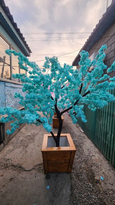 Декоративные цветы: Сакура искусственное дерево высота 2 м ширина 2 м цена от 1000 сом at lalafo.kg — 15 Декоративные цветы: Сакура искусственное дерево высота 2 м ширина 2 м цена от 1000 сом — 15