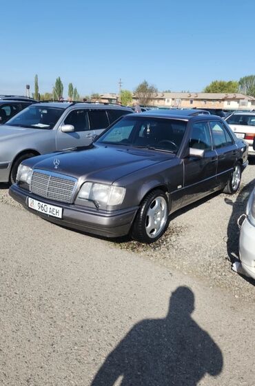 Mercedes-Benz: Mercedes-Benz W124: 1995 г., 2.2 л, Автомат, Бензин, Седан