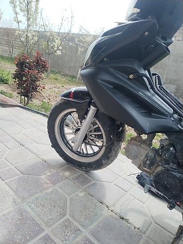 paneler: Barter var ÖZ DƏYƏRİNDƏ XİRDA BUYNUZLU HEYVANLAVA DİGƏR MARAGLİ — 7
