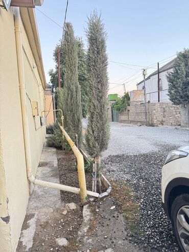 Qonaq otağı dəstləri: İşlənmiş, Kredit yoxdur, Azərbaycan — 19