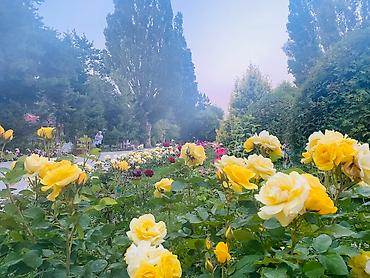 Иссык-Куль 2026: Коттедж, Сдается коттедж от собственника по хорошей цене !!! ЦО Радуга West, Кош-Кол, Детская площадка, Парковка, стоянка, Охраняемая территория — 25