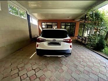 seltos: Kia Seltos: 2019 г., Кроссовер — 7