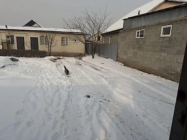 Долгосрочная аренда домов: 40 м², 2 комнаты, Утепленный, Забор, огорожен — 8