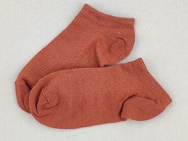 legginsy damskie calvin klein allegro: Skarpety damskie, 35-37