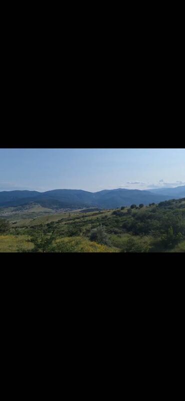 Qarajlar: 8 sot, Tikinti, Kupça (Çıxarış)