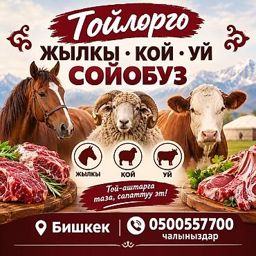 Организация мероприятий | Оформление мероприятий