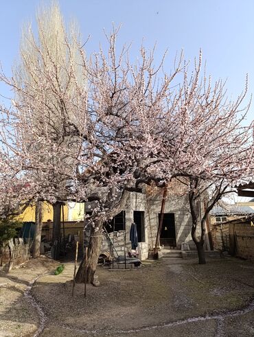 Продажа домов: Дом, 180 м², 8 комнат, Собственник, ПСО (под самоотделку) — 19