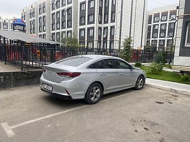 Продажа авто: Hyundai Sonata: 2019 г., 2 л, Автомат, Бензин, Седан — 2