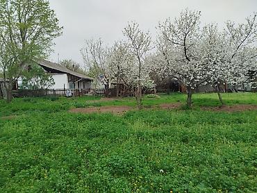 Продажа коттеджей и домов: Продается дом 4 комнаты в городе Кант с.Гагарина дом очень хорошо — 2